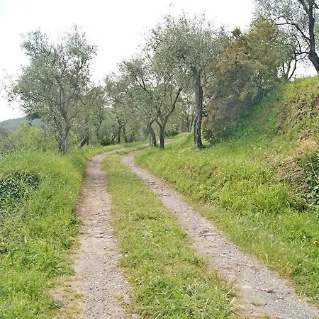 Tenuta Cavalier Tancredi-maestrale Hébergement de vacances *